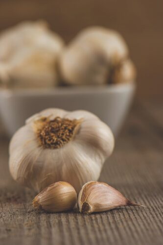 “Great Garlic for the Garden”